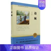 边城❤️ [正版]艾青诗选和水浒传原著无删减人民教育出版社初中九年级语文配套必读名著泰戈尔诗选人教版初三学生课外阅世说新