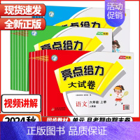 英语--译林版 六年级下 [正版]2024秋亮点给力大试卷江苏版人教版苏教版小学一二三四五六年级上册试卷测试卷全套语文数