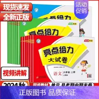 英语--译林版 五年级下 [正版]2024秋亮点给力大试卷江苏版人教版苏教版小学一二三四五六年级上册试卷测试卷全套语文数