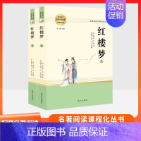 红楼梦上+下共2本 南方出版社 [正版]乡土中国红楼梦复活三国演义原著完整版 高中语文名著阅读必修选修上下册书店店高中高