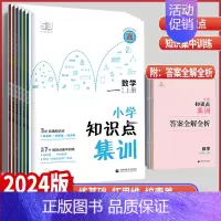 数学知识点集训 三年级上 [正版]2024版53小学一二三四五六年级上册数学知识点集训全国通用版 五三天天练三年级上册数