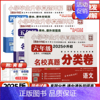 语文❤️真题分类卷 小学五年级 [正版]2025版小学毕业升学真题详解四年级五年级六年级语文数学英语名校真题分类卷全国通