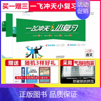 小复习 二年级上册[语数]套装 小学通用 [正版]2024秋新版一飞冲天小复习一年级二年级三四五六年级上册下册语文数学英