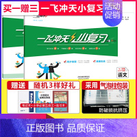 小复习 二年级下册[语数]套装 小学通用 [正版]2024秋新版一飞冲天小复习一年级二年级三四五六年级上册下册语文数学英