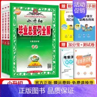小升初 语数英套装 小学通用 [正版]科目任选金星教育2024小升初系统总复习语文数学英语科学全套小学生毕业总复习全解六