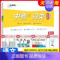 中考分类集训卷[语文] 初中通用 [正版]2025新版一飞冲天中考分类集训卷语文数学英语物理化学道德与法治历史初中专题分
