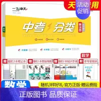 中考分类集训卷[数学] 初中通用 [正版]2025新版一飞冲天中考分类集训卷语文数学英语物理化学道德与法治历史初中专题分