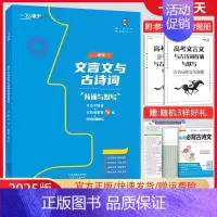 高考文言文与古诗词背诵与默写 天 津 [正版]2025新版一飞冲天高考文言文与古诗词背诵与默写 文言文阅读+古诗词鉴赏+
