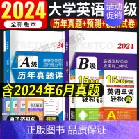 [英语B级]21套真题+5套电子模拟+5套电子预测 [正版]2024年12月大学英语A级B级历年真题详解词汇单词书英语a