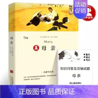 母亲 [正版]秘密花园书籍经典名著小学生四年级五年级的六年级儿童版课外书阅读4-5-6年级必读伯内特原著密密花园天津人民