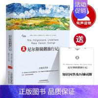 尼尔斯骑鹅旅行记 [正版]秘密花园书籍经典名著小学生四年级五年级的六年级儿童版课外书阅读4-5-6年级必读伯内特原著密密