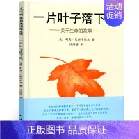 一片叶子落下来 绘本 [正版]安的种子绘本精装 王早早著 棒棒仔品格养成图画书 一年级小学生幼儿园大班中班小班必读课外