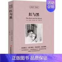 [中英双语]红与黑 [正版]爱丽丝漫游奇境记双语版 中英文版英汉互译中英对照小说英文版爱丽丝梦游仙境英语原版初中生高中生