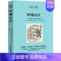 [中英双语]呼啸山庄 [正版]爱丽丝漫游奇境记双语版 中英文版英汉互译中英对照小说英文版爱丽丝梦游仙境英语原版初中生高中