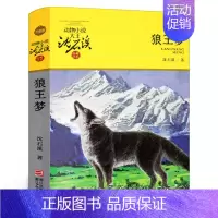 狼王梦 沈石溪著 [正版]亚瑟与金绳子(英)乔·托德-斯坦顿著 四年级上册小学生必读课外书快乐读书吧 北欧神话冒险故事