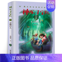 神龙寻宝队:青铜巨人 [正版]将军胡同书 史雷著 中国好书小学生三年级四五年级课外书阅读书籍 儿童文学小说奖 天天出版社