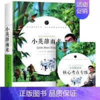 小英雄雨来 管桦著 [正版]雷锋的故事注音版 陈广生崔家骏著一年级二年级三年级四年级小学生上册必读课外书阅读书籍注音美绘