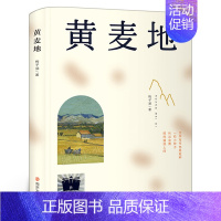 黄麦地 [正版]后一个讲故事的人 美唐娜·巴尔巴·伊格拉著 五年级百班千人祖庆说大阅小森 小学生课外书阅读书籍 出版社k