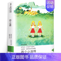 两个小洛特 [正版]我家没有英雄 四年级 约·维特克著 祖庆说百班千人暑假读物 我家没有英雄书 小学生课外书阅读书籍 晨