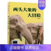 两头大象的大冒险 [正版]我想成为你的骄傲陈伟军/著 四年级百班千人祖庆说大阅小森 小学生课外书阅读书籍 人民卫生出版社