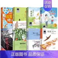 四年级8册 [正版]雨燕飞越中轴线 张之路著 四年级百班千人祖庆说大阅小森 小学生课外书阅读书籍飞跃飞过 北京少年儿童出
