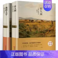 [正版]精装版2册 在人间我的大学高尔基原著高尔基的自传体 三部曲青少年无障碍精读版 小学版小学生必读 初中生课外阅读书