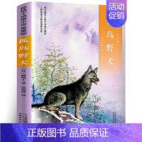 孤岛野犬 [正版]糊里糊涂的铁哥们:贾里小时候 秦文君著 三年级百班千人共读书目小学生3年级暑期共读书系上海译文出版社k