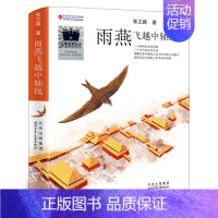 雨燕飞越中轴线 [正版]秘密花园 (美)弗朗西丝•霍奇森•伯内特著 四年级百班千人祖庆说大阅小森 小学生课外书阅读书籍