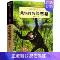 [正版]融鼎正品戴银铃的长臂猿:动物小说大王沈石溪·品藏书系少儿文学小说书 7-10-12-14岁儿童文学青少年课外