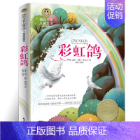 [正版]彩虹鸽 国际大奖儿童文学 纽伯瑞儿童文学金奖 美绘典藏版 小学生三四五六年级 儿童文学书籍7-9-12-15岁