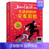 大盗奶奶的完美冒险 [正版]感动星 荆歌著 三年级百班千人共读书目小学生3年级课外书祖庆说活动人民文学出版社kq52