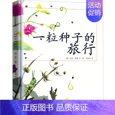 一粒种子的旅行 安妮·默勒编绘 [正版]第一次上街买东西 精装硬壳 林明子系列绘本 描绘孩子成长飞跃的一瞬间儿童绘本一