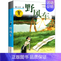 [正版]野风车 曹文轩 儿童文学小说课外读物书少儿故事名著丛书江苏凤凰少年儿童出版社 野风车/曹文轩纯美小说系列