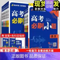 物理[通用版] 全国通用 [正版]2025新高考版高考必刷小题语文数学英语政治历史地理物理化学生物全国通用不定项新题型江