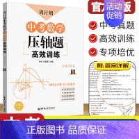 中考数学压轴题高效训练[圆] 初中通用 [正版]中考数学压轴题高效训练圆九年级周计划初中初三3九9年级上下册中考