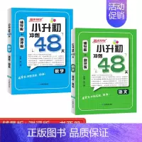 语文+数学[2本套] 小学升初中 [正版]2024新版阳光同学小升初冲刺48天精选真题必刷题语文数学英语全套辅导版同步训