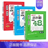 语文+数学+英语[3本套] 小学升初中 [正版]2024新版阳光同学小升初冲刺48天精选真题必刷题语文数学英语全套辅导版