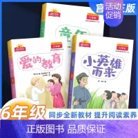 [快乐读书吧]全套3册 六年级上 [正版]阳光同学快乐读书吧六年级上册全套3册童年小英雄雨来爱的教育小学生6年级上册语文