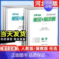数学[人教版] 七年级下 [正版]河北专版2024版期末真题卷初中七年级八年级下册测试卷全套语文数学英语物理初一二基础专