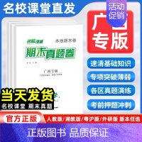 语数英物[人教版 4本套] 八年级下 [正版]广西专版2024版期末真题卷七年级八年级下册测试卷全套语文数学英语物理人教