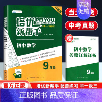 数学培优新帮手 九年级/初中三年级 [正版]2024新版培优新帮手九年级数学奥数思维训练初中必刷题 初三同步上下册练习册