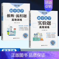 化学 实验题+流程题[2本套] 初中通用 [正版]2024周计划初中化学推断流程题高效训练全套789年级初中初一初二初三