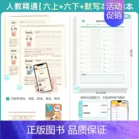 [字帖+默写]六年级上下 [正版]新疆地区人教精通版英语字帖手写体国标体英文字母三年级上册下册小学单词描红练习本听写默写