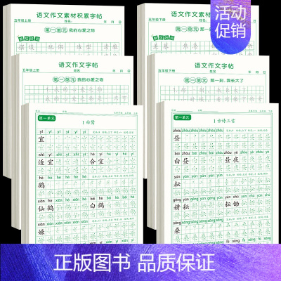 [上下册]同步字帖5上下+同步作文字帖+素材积累字帖 [正版]五年级上册字帖语文同步练字帖人教版小学生硬笔书法练字本楷书