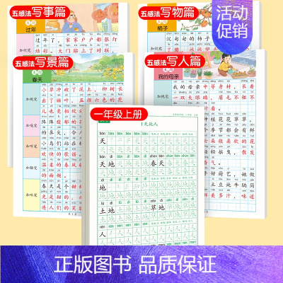 [上册]同步字帖1上+五感法字帖 [正版]一年级练字字帖小学生上册下册同步练字帖语文人教版口算天天练硬笔书法练字本楷书笔