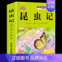 [1本]昆虫记 [正版]小学生歇后语谚语成语接龙中华成语故事大全注音版儿童猜谜语一年级二年级三四年级阅读课外书必读老师小
