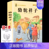 骆驼祥子[赠同步考点手册] [正版]海底两万里七年级必读骆驼祥子原著书老舍下册必读课外书小学初中版人教完整版初中生必读的