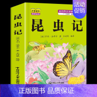 昆虫记 [正版]昆虫记小学生注音版木偶奇遇记三年级上册下册必读课外书人教版老师上学期小学生阅读的稻草人安徒生童话格林童话