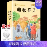 [七下]骆驼祥子 [正版]三年级上册四年级五年级六年级上册下册必读课外书七八年级同步快乐读书吧老师必读的小学生课外阅读书