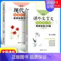 7年级 课外文言文+现代文(2本) 初中通用 [正版]初中课外文言文阅读周计划高效训练120篇 七八九年级现代文阅读周计